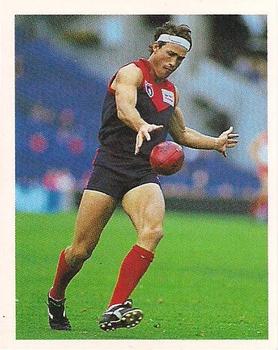 1993 Select AFL Stickers #166 Todd Viney Front